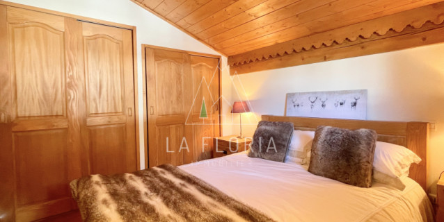 APARTMENT PETIT DRU, CHAMONIX LES PRAZ