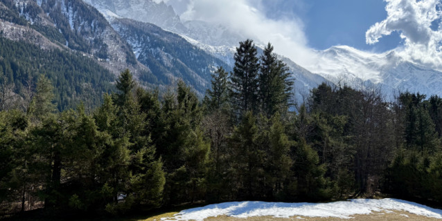 APPARTEMENT T2 MARGUERITE, CHAMONIX LES PRAZ