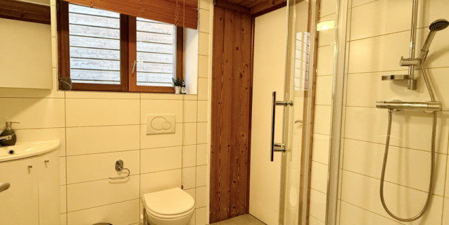 CHALET CAMILLE, CHAMONIX