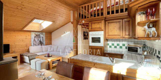 APARTMENT PETIT DRU, CHAMONIX LES PRAZ