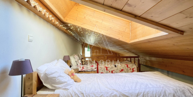 APARTMENT PETIT DRU, CHAMONIX LES PRAZ