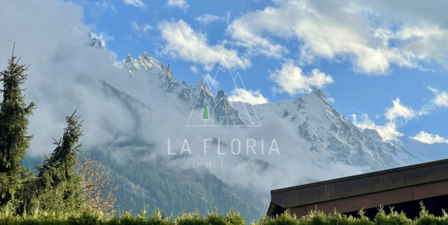 CHALET OLAF, CHAMONIX LES TINES