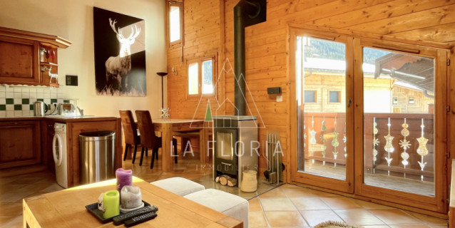 APARTMENT PETIT DRU, CHAMONIX LES PRAZ