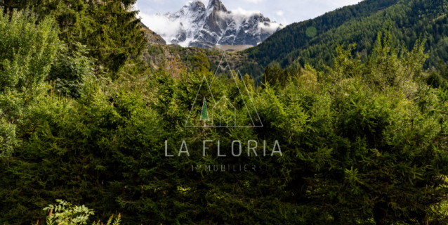 FERME EL MONTARA, CHAMONIX