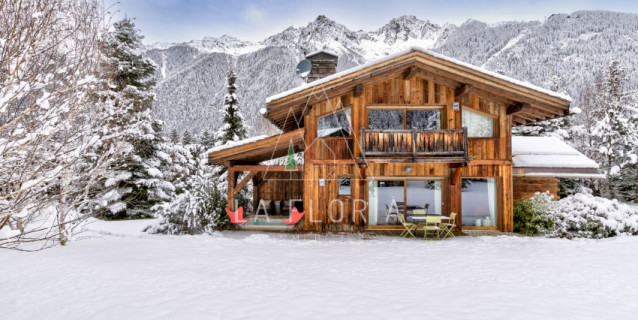 CHALET DES DRUS - LES BOIS CHAMONIX