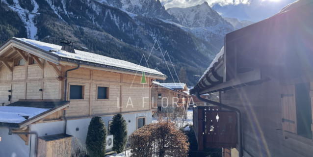 APARTMENT PETIT DRU, CHAMONIX LES PRAZ