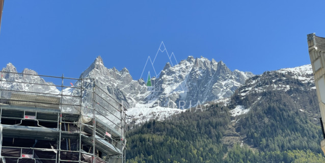 ROCHE APARTMENT, CHAMONIX CENTER